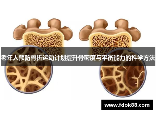 老年人预防骨折运动计划提升骨密度与平衡能力的科学方法 老年人预防骨折运动计划提升骨密度与平衡能力的科学方法